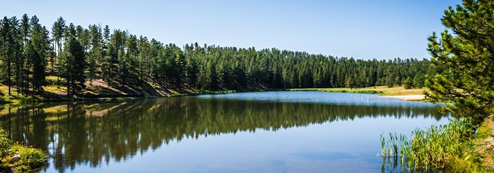 Chiropractic Service Area Elizabeth PA Location